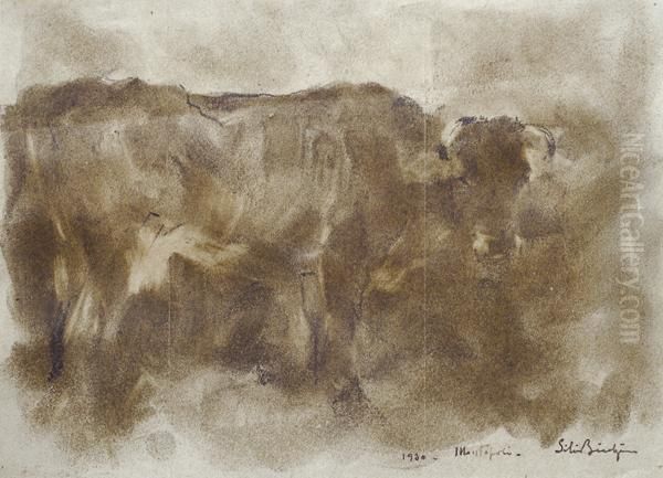 Toro - view 1