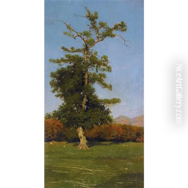 Landschaft Mit Baum - view 1