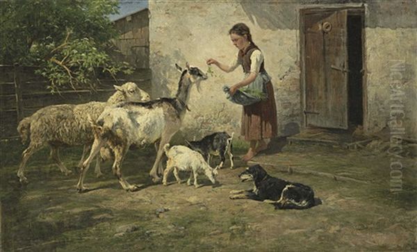 Feeding Time - view 1