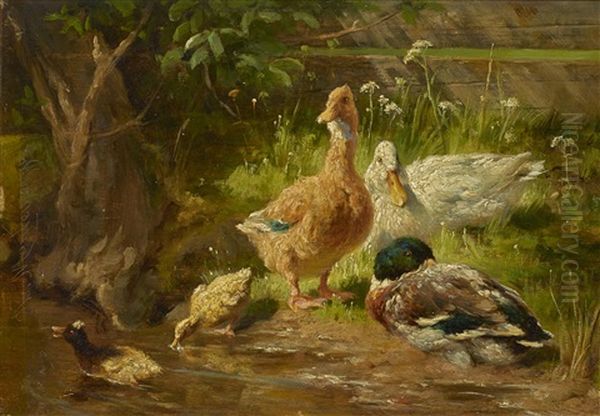 Entenfamilie Am Ufer by Antonis Matteo Montemezzo