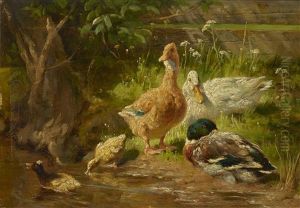 Entenfamilie Am Ufer