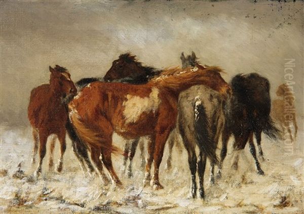 Horses In Winter - view 1