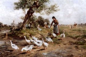 Herding The Geese by Antonis Matteo Montemezzo