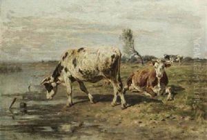 Cows Watering Cows Watering