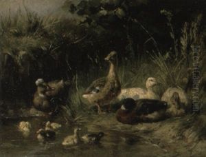Ducks By A Pond Ducks By A Pond