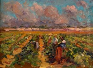 Les Vendanges En Provence