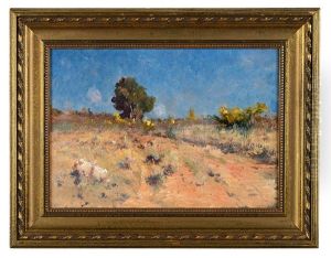 Paysage De Garrigue