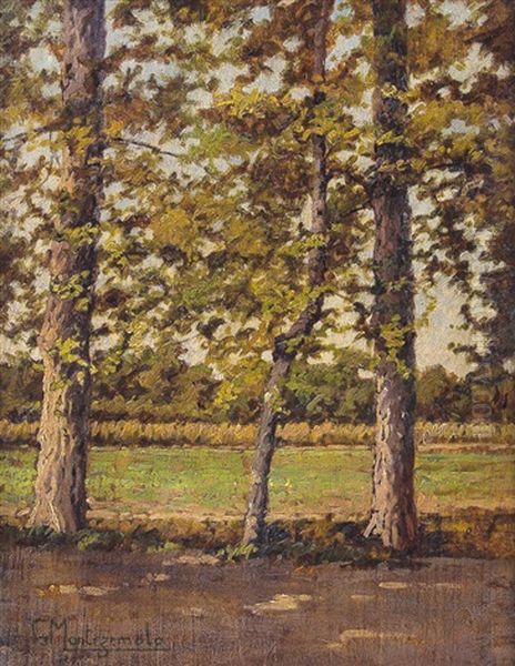 Autunno - view 1