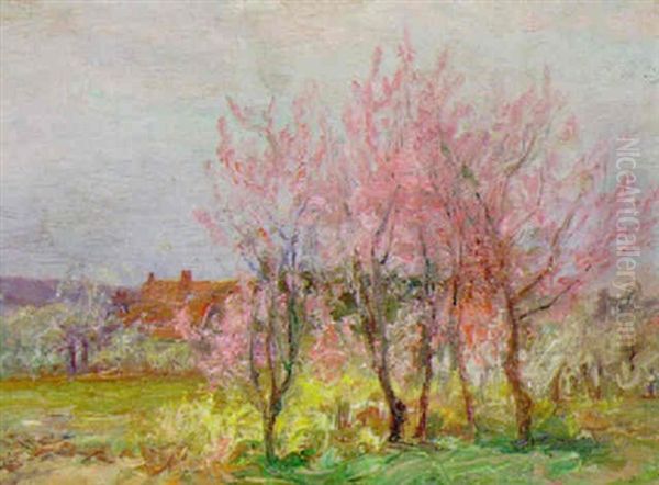 Bluhende Apfelbaume - view 1