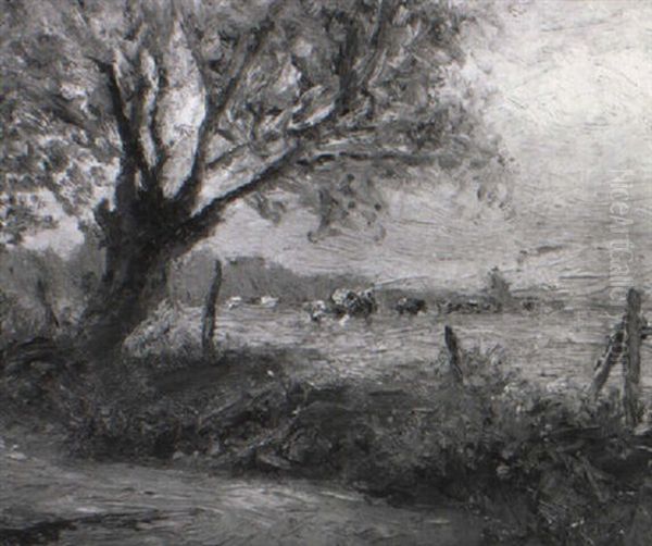 Weidende Kuhe - view 1