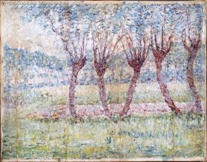 Les Arbres Ensoleilles Les Arbres Ensoleilles
