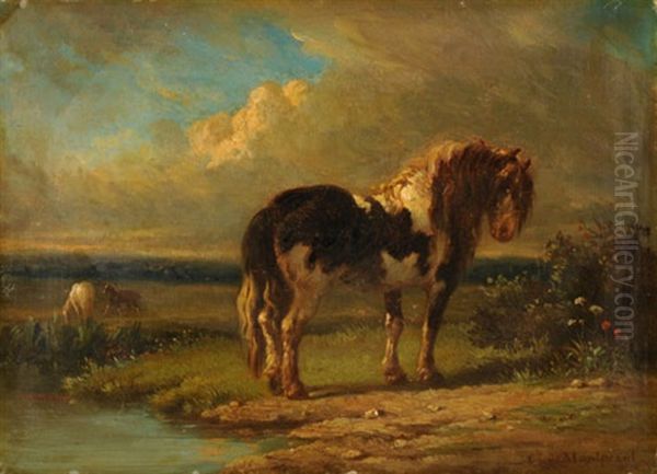 Teichlandschaft Mit Pferden - view 1
