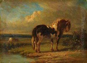 Teichlandschaft Mit Pferden Teichlandschaft Mit Pferden