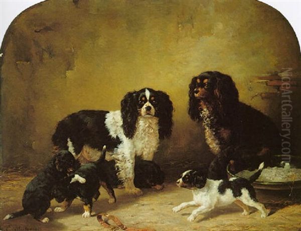 King Charles Spaniels Playing - view 1