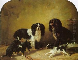 King Charles Spaniels Playing