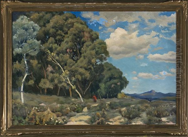 Paisaje - view 1