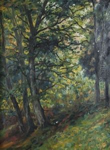 Waldlichtung