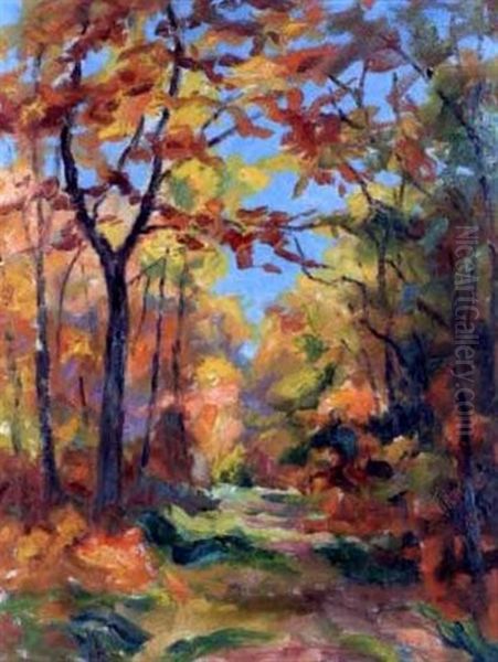 Herbstlicher Waldweg - view 1
