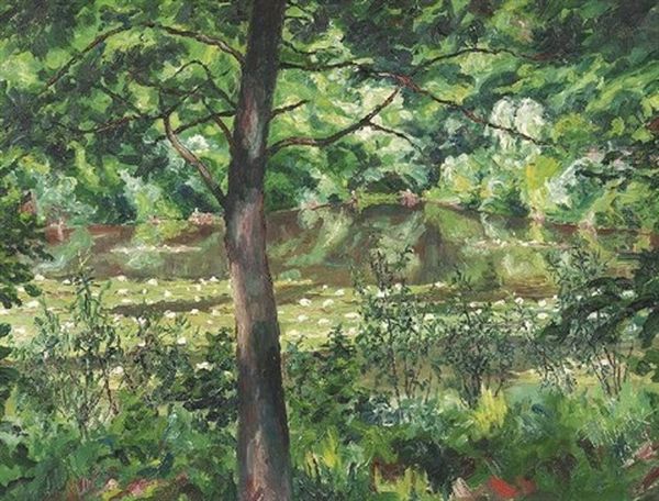 Sommermorgen. Blick Durch Das Waldesdicklicht Auf Einen Verwunschenen Seerosenteich - view 1