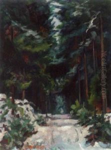 Winterlandschaft Bei Der Goldgrube