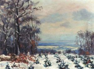 Winter Im Taunus