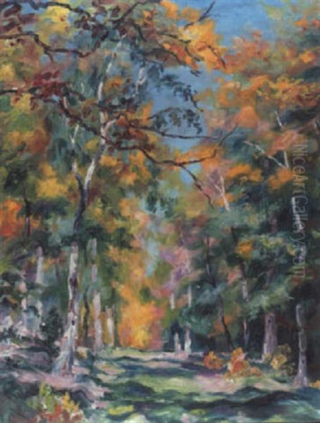 Waldweg Im Spatsommer - view 1