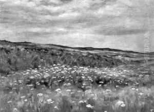 Blumenwiese Blumenwiese