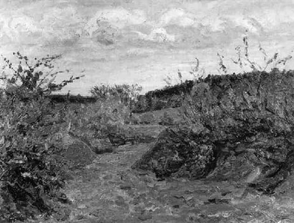 Sommerliche Landschaft - view 1