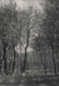 Sommerlicher Waldweg Sommerlicher Waldweg