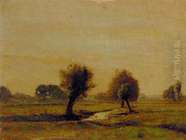 Stanboro' Marsh, Hatfield - view 1