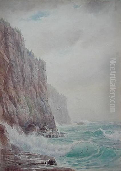 Maine Coast - view 1
