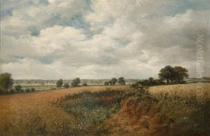 View Of The Deben At Waldringfield