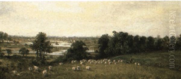 Driving The Flock - view 1