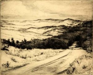 Race Point Road