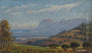 View From Constantia Looking Towards Muizenberg & False Bay by Edward Charles Moore