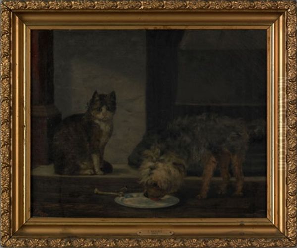A Cat And Dog - view 1