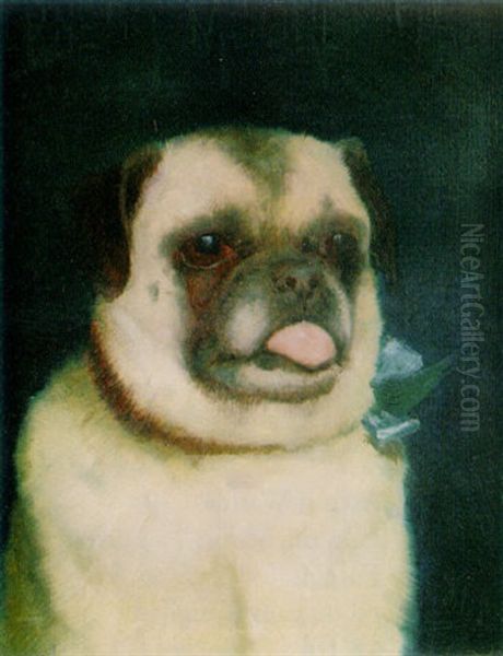 A Pug - view 1