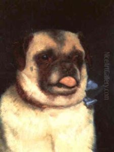 A Pug by Ernest Moore