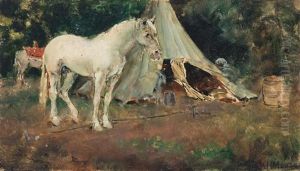 Horses At An Encampment