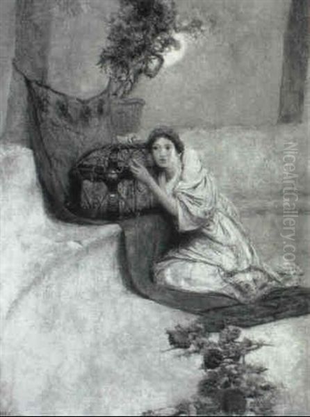 Pandora's Box - view 1