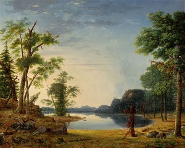 Sunday (in The Forest) - view 1