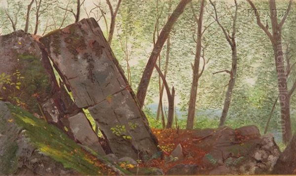 Rock Formations In A Quiet Wood (+ Moon Rise; 2 Works) - view 1