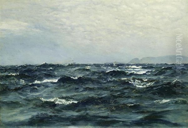 The Open Sea - view 1