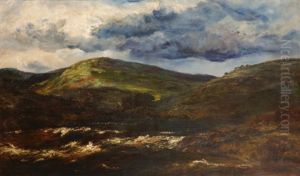 Paysage De Lande Ecossaise