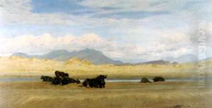 Coast Of North Wales, Cattle Basking On The Beach Coast Of North Wales, Cattle Basking On The Beach