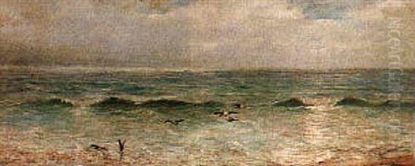 Seagulls Feeding In The Breakwater - view 1