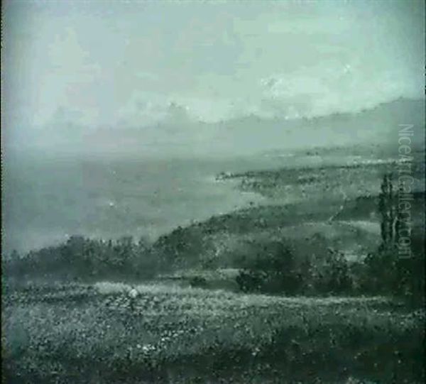 Summer - view 1
