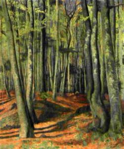 Waldinneres Mit Lichteinfall by Joseph von Moos