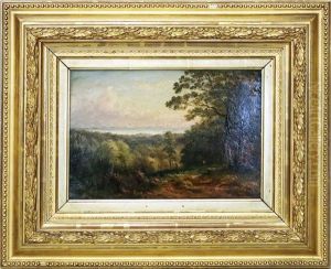 Landschaft Mit Blick Auf Lindau Am Bodensee by Josef Moosbrugger