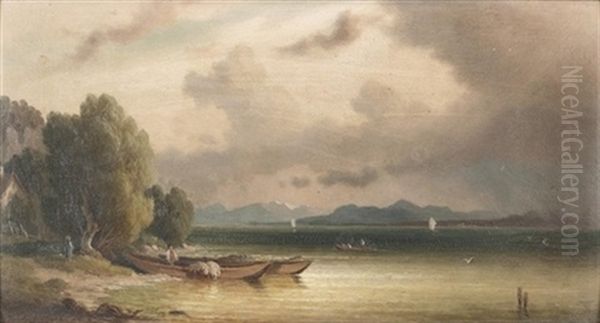 Bodensee-landschaft - view 1